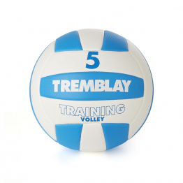 PVC volleyball - size 5 - 265/285 gr - blue/white                    