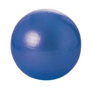 Gymn ball - 55 cm- Blue                                              